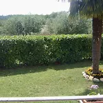 Apartmán Family-friendly With Swimming Pool Babici, - 2531 *
