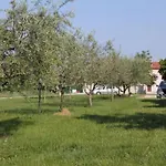 Family-friendly With Swimming Pool Babici, - 2531