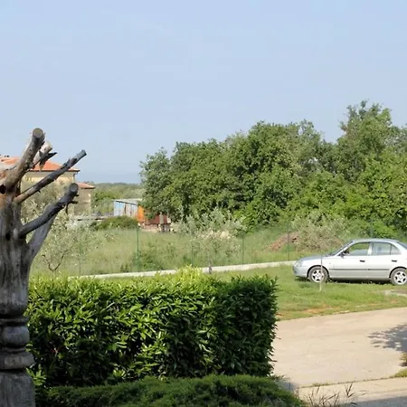 Family-friendly With Swimming Pool Babici, - 2531