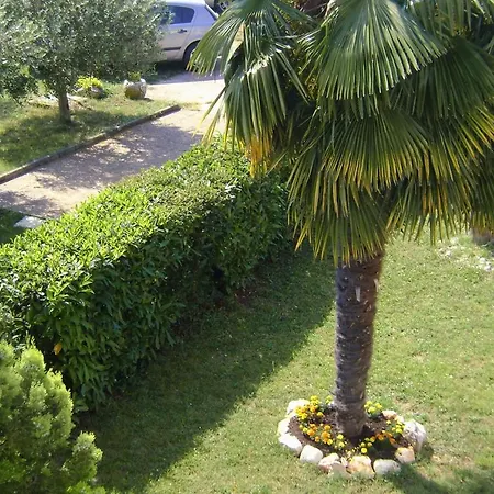 Family-friendly With Swimming Pool Babici, - 2531 شقة *