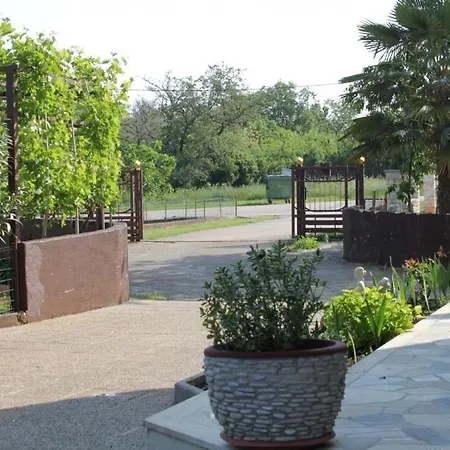 Family-friendly With Swimming Pool Babici, - 2531 Apartment