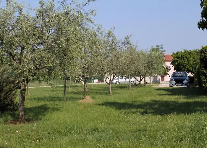 Family-friendly With Swimming Pool Babici, - 2531